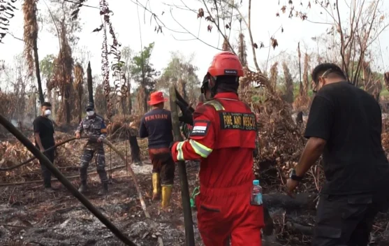 Personel Manggala Agni dan ASN dikerahkan untuk penanganan kebakaran hutan dan lahan