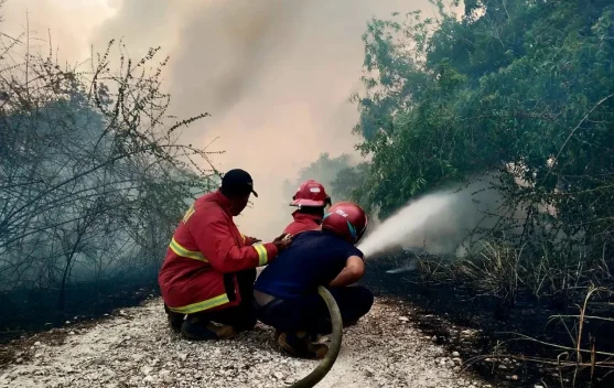 Pesawat pemadam kebakaran udara dan upaya pemadaman karhutla di Kalimantan