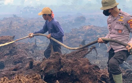Lahan gambut kering dan retak yang rentan terbakar di Kalimantan