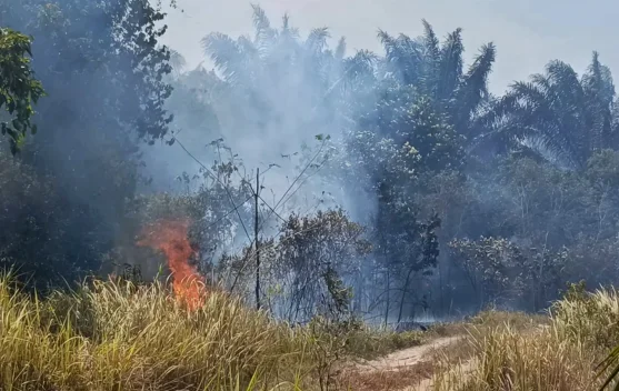Petugas dan warga memadamkan kebakaran lahan gambut yang mengering
