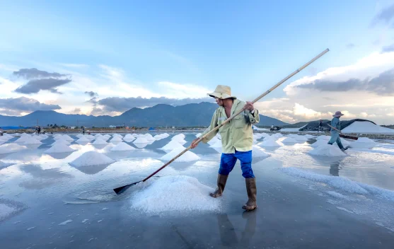Pengembangan kawasan produksi garam di Rote Ndao untuk capai swasembada 2029