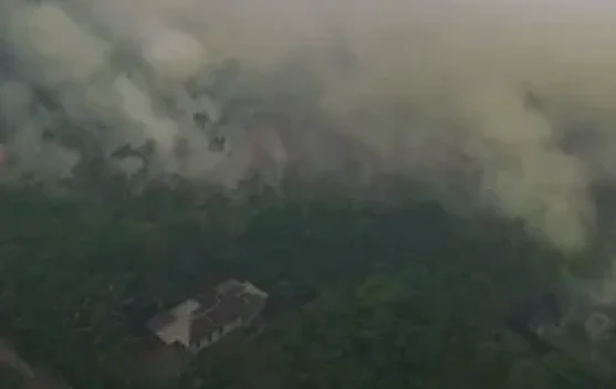 Ilustrasi kebakaran hutan dan penegakan hukum oleh Polri
