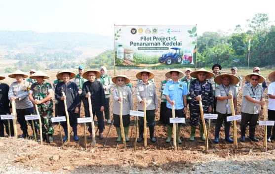 Lahan percobaan penanaman kedelai di Cariu, Bogor, dengan dukungan mesin dan benih