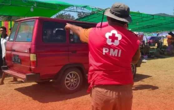Relawan PMI membangun shelter dan mendistribusikan bantuan pasca gempa di Pulau Flores