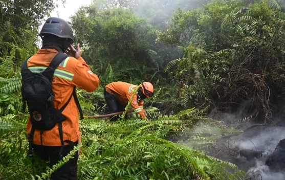 Laboratorium BRIN mengembangkan tepung singkong sebagai bahan flame retardant untuk penanganan karhutla