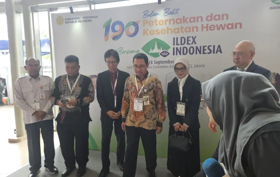 Ilustrasi peternakan unggas dan ekspor ayam dari Indonesia