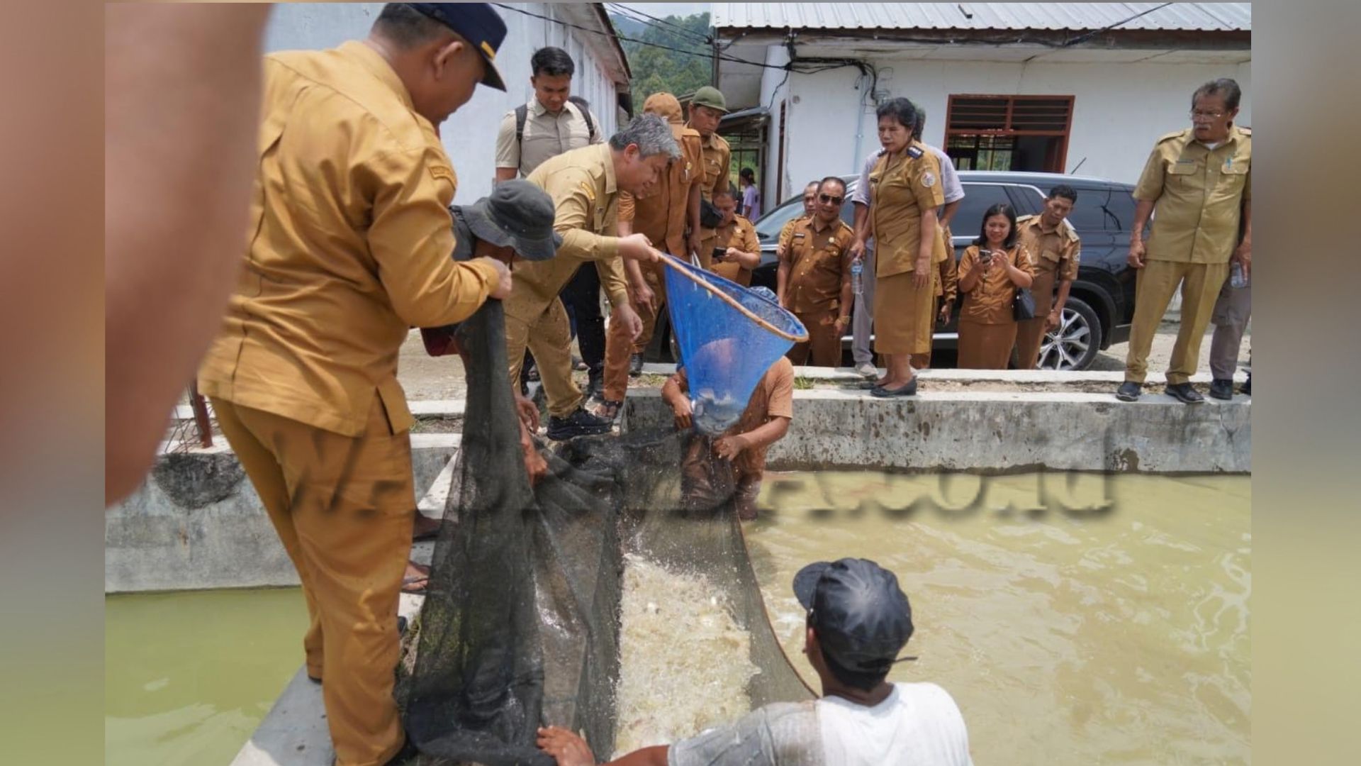 Wakil Bupati Tapanuli Utara meninjau Balai Benih Ikan Purbatua
