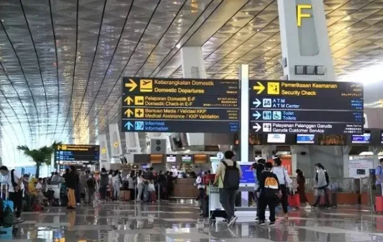 Pesawat di apron Bandara Soekarno-Hatta saat penutupan operasional akibat abu vulkanik