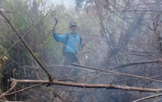 Asap kebakaran membubung di pegunungan Jawa Timur saat penanganan karhutla