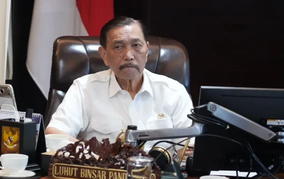 Luhut Binsar Pandjaitan berbicara soal Agen Perlinsos dan target pendaftaran 48 juta KK
