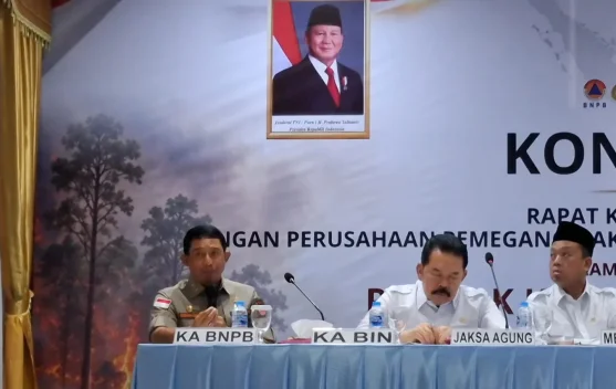 Tim pemadam dan operasi udara menangani kebakaran lahan gambut di Indonesia
