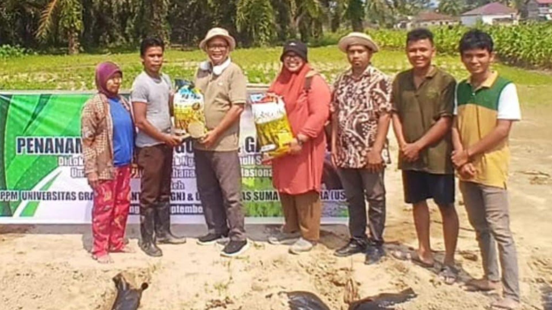 Tim LPPM UGN mempersiapkan demplot padi di lahan berpasir Desa Aek Ngadol, Tapanuli Selatan