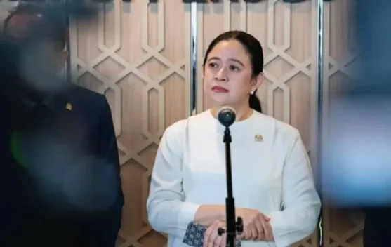 Puan Maharani menyerukan penanganan karhutla terpadu dan perlindungan keselamatan warga