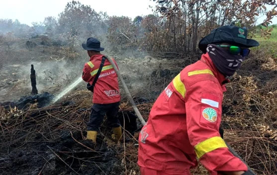 Tim patroli pemadaman kebakaran hutan dan lahan di Kalimantan