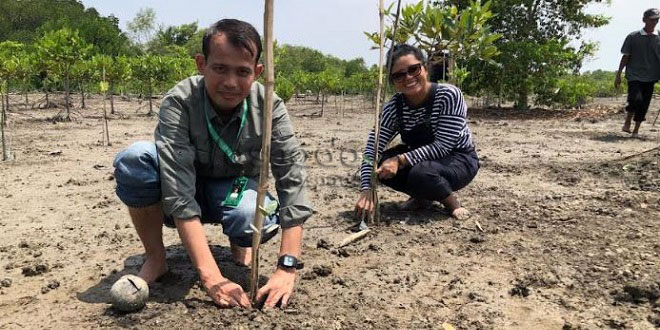 Penanaman bibit mangrove di Pantai Sei Tuan Indah, Deli Serdang
