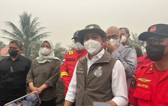 Asap dan lahan terbakar di hutan Kalimantan Barat menggambarkan dampak karhutla