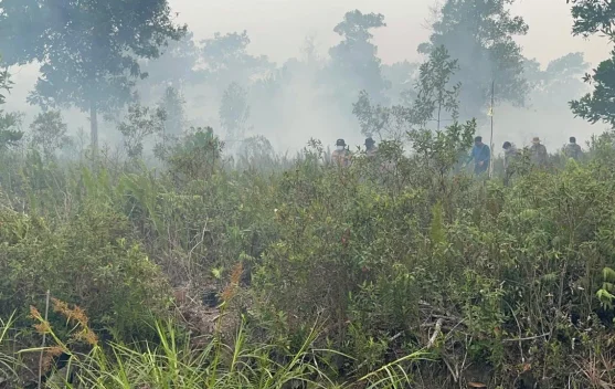 Peta sebaran hotspot nasional per 7 September 2026