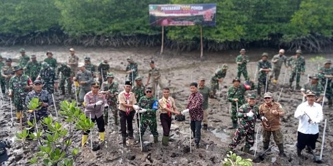 Penanaman bibit mangrove di pesisir Kuala Langsa saat HUT TNI ke-81