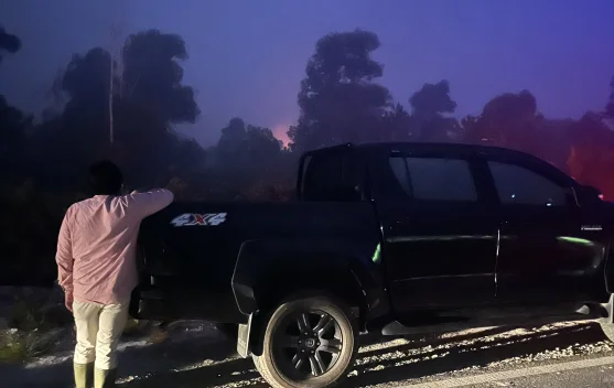 Asap dan upaya pemadaman karhutla di lahan gambut Singkawang