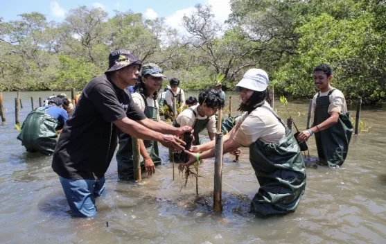Mahasiswa menanam mangrove di Tahura Ngurah Rai, Denpasar Selatan