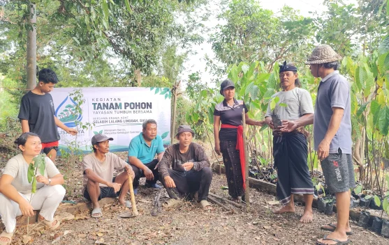 Penanaman pohon bersama krama adat Selabih Lalang Linggah di Tabanan Bali