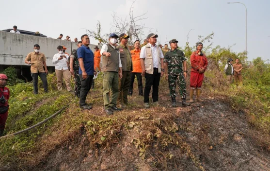 Menteri Kehutanan meninjau lokasi kebakaran hutan dan lahan di Ogan Ilir, Sumatera Selatan