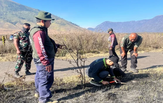 Tim Kemenhut memeriksa lokasi kebakaran di TNBTS Bromo Tengger Semeru