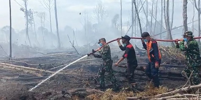 Asap dan petugas memadamkan kebakaran lahan di Aceh Selatan
