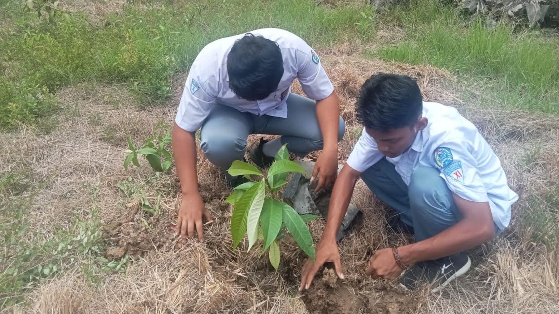 Siswa dan guru SMAN 1 Matangkuli mengikuti lomba dan menanam pohon saat peringatan Hardikda Aceh 2026