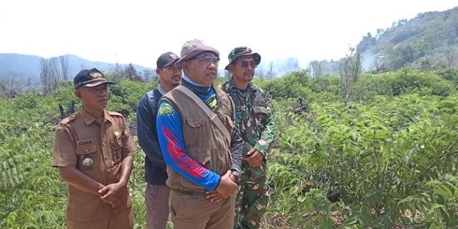 Petugas memadamkan kebakaran lahan gambut di Tapaktuan, Aceh Selatan, dengan pompa dan penyiraman