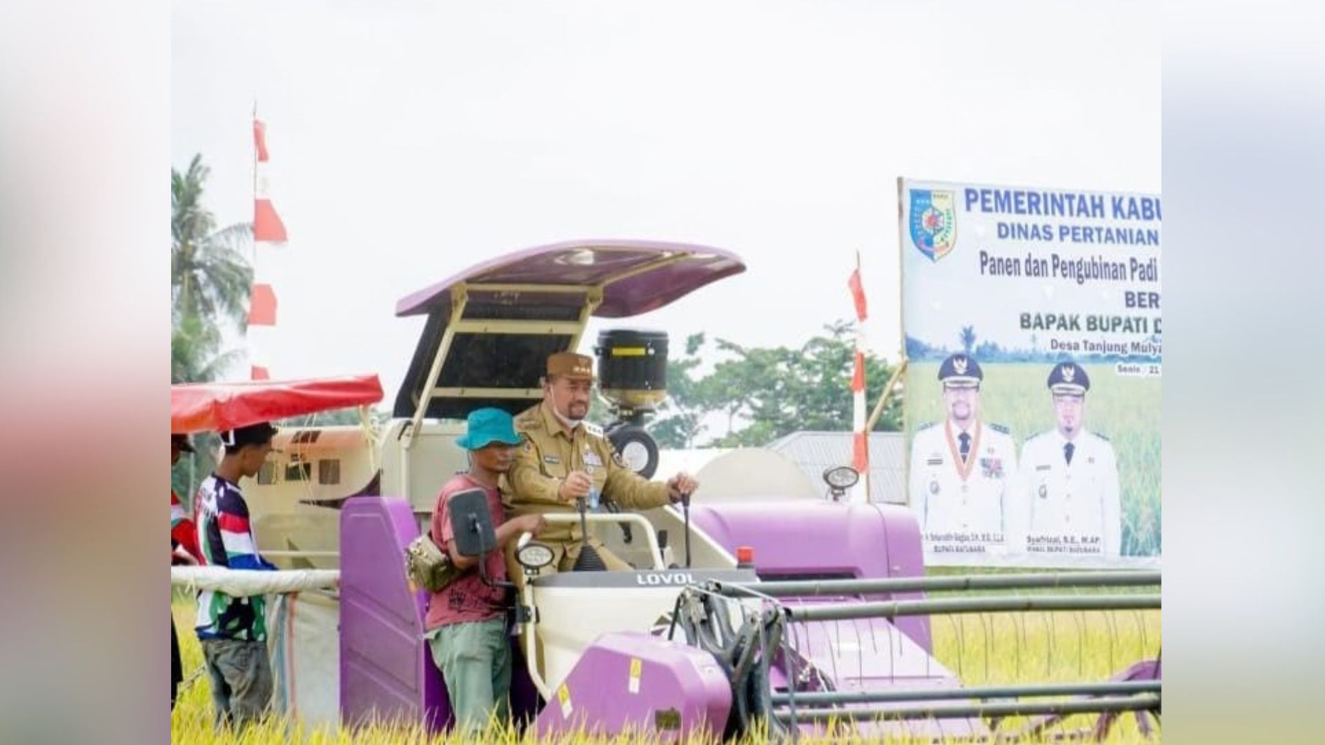 Bupati Baharuddin memanen padi dengan combine harvester di Desa Tanjung Mulya, Batubara