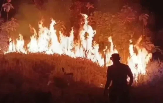 Asap dan petugas pemadam kebakaran hutan di Jawa Barat saat operasi pemadaman