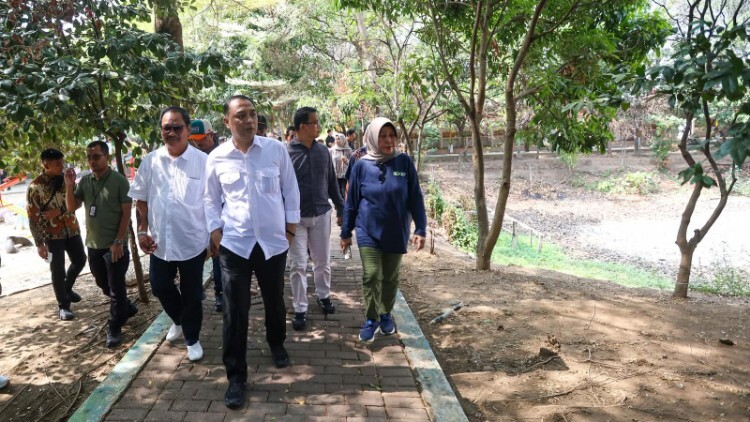 Suasana lokasi Taman Hutan Kota Jeruk di Lakarsantri dengan area persawahan dan ruang terbuka hijau