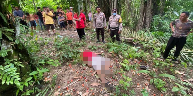 Lokasi kebun kelapa sawit di Simalungun tempat petani ditemukan tewas