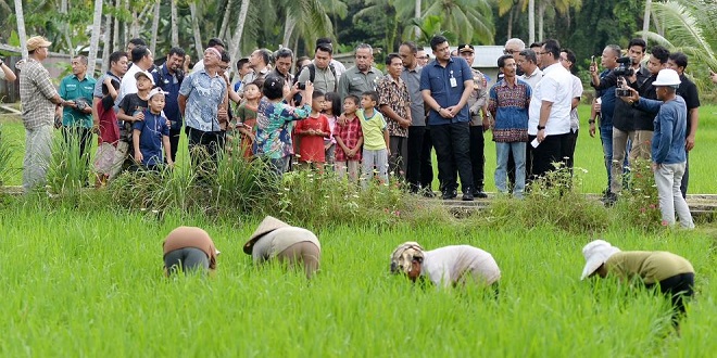 Gubernur meninjau rehabilitasi irigasi Afia dan berdialog dengan petani di Gunungsitoli