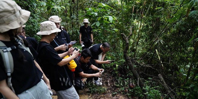 Delegasi jurnalis Tiongkok mengunjungi Bukit Lawang dan Danau Toba dalam Fam Trip Sumut
