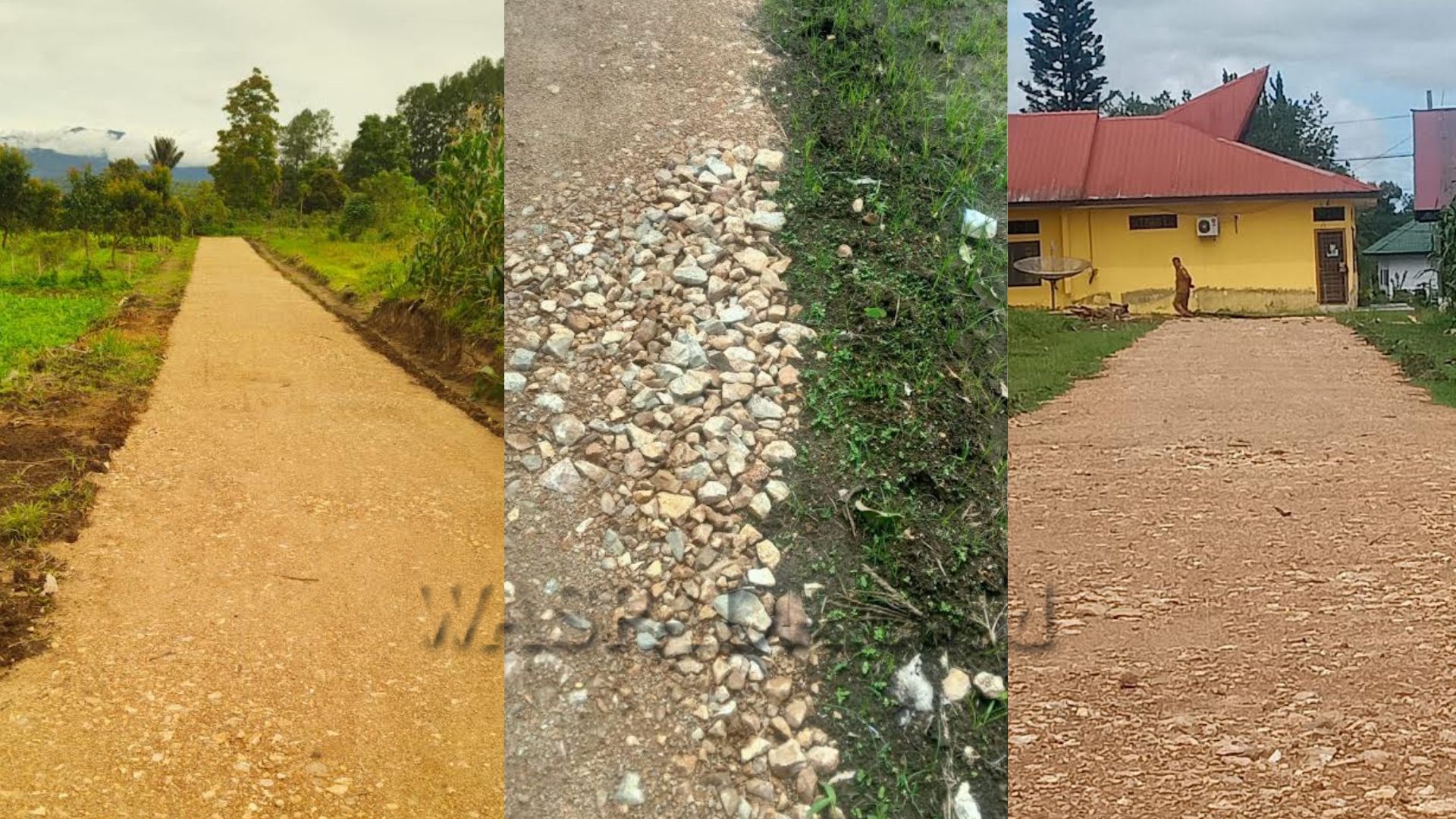 Papan proyek pembangunan jalan PSU belakang Kantor Camat Sitinjo dengan lahan jagung