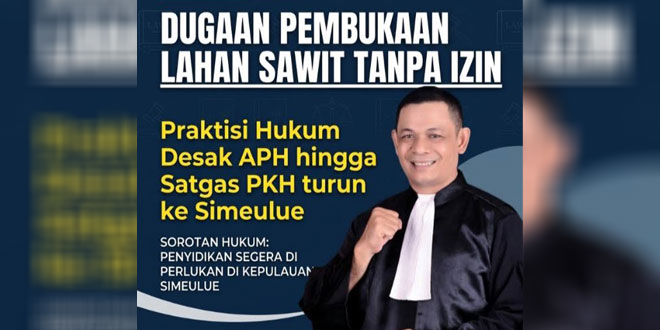 Lahan sawit di Simeulue terkait dugaan pembukaan lahan tanpa izin