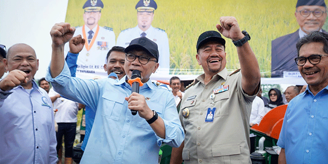 Menko Pangan dan Bupati Batubara panen padi bersama petani di Desa Durian
