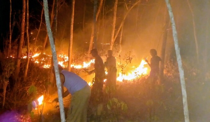 Ilustrasi kebakaran lahan dan upaya pemadaman di Magetan
