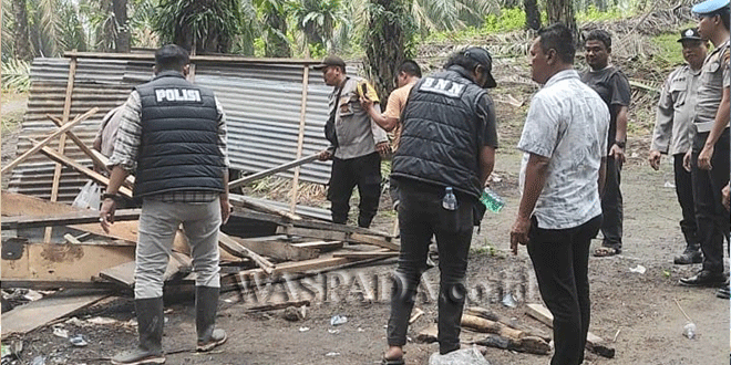 Petugas merobohkan gubuk diduga sarang narkoba di perkebunan kelapa sawit