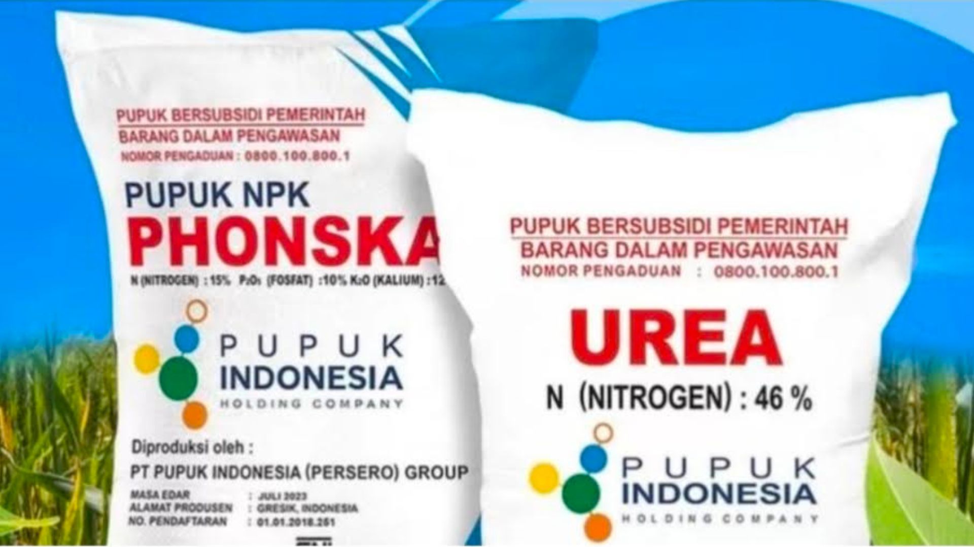Petani Sipirok keluhkan kelangkaan dan kenaikan harga pupuk subsidi