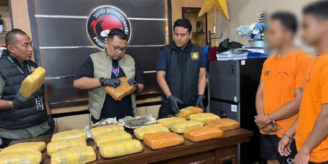 Polisi menggerebek kandang ayam dan menyita ganja sebagai barang bukti