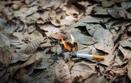 Petugas memadamkan kebakaran lahan kering saat musim kemarau