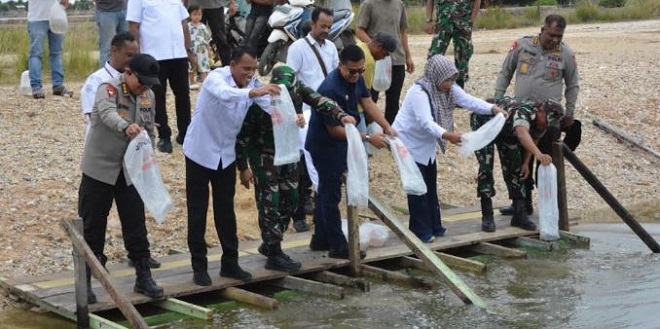 Penebaran benih udang vaname di tambak Gampong Sungai Pauh Pusaka, Langsa