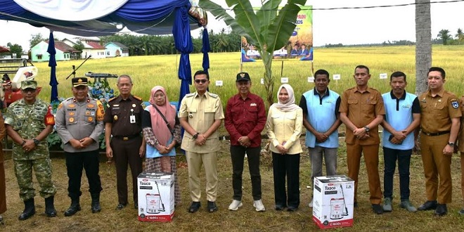 Panen raya padi di Gampong Alue Pineung Timue Langsa sebagai simbol kebangkitan pertanian pascabencana