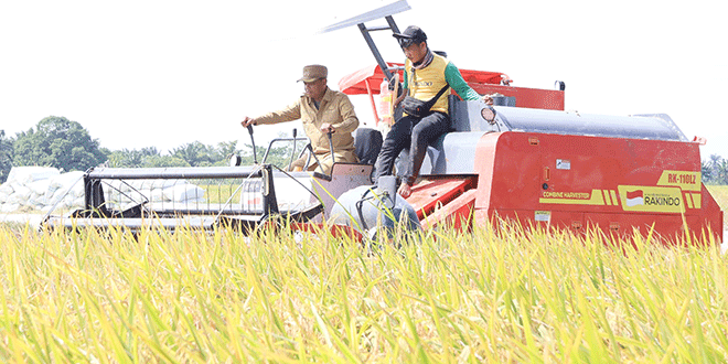 Kepala Dinas Pertanian Sergai Dedy Iskandar saat memaparkan capaian produksi padi