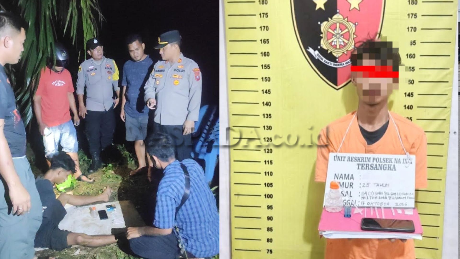 Ilustrasi polisi melakukan penggerebekan dan barang bukti narkoba di area perkebunan